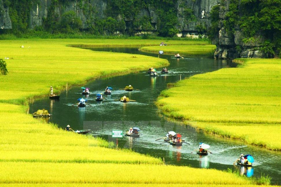 Ninh Binh Brother'S Homestay Extérieur photo