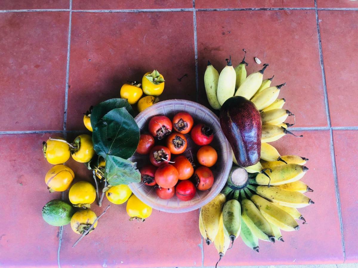 Ninh Binh Brother'S Homestay Extérieur photo